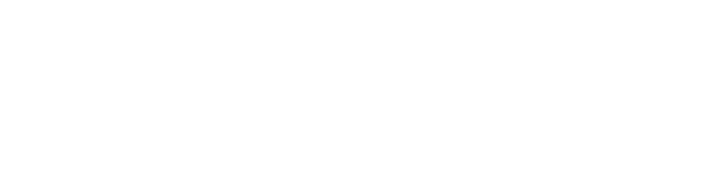 bank ina logo white
