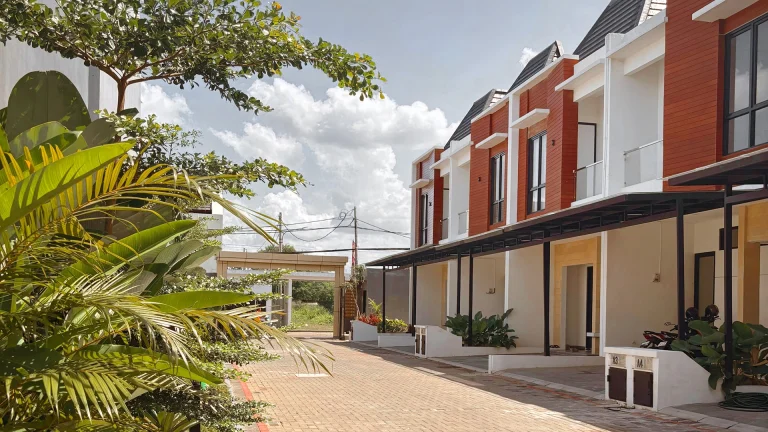 Terra Vivensa - Exterior Road